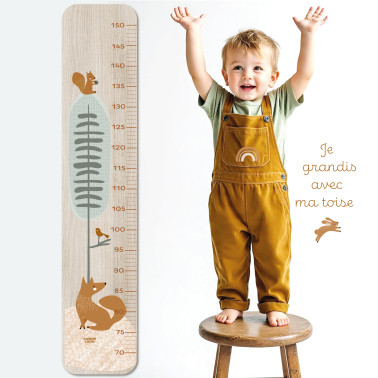 Toise en Bois Renard Assis Forêt Edgar