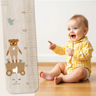 Toise en Bois Ours -Le Chariot